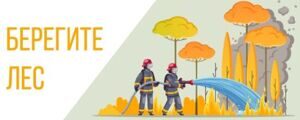 Пожарная безопасность в лесах